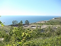 Western Michigan [2010] 140